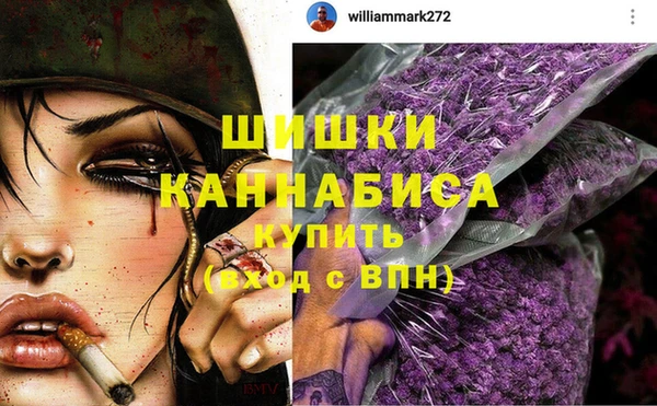 гидра Мегион