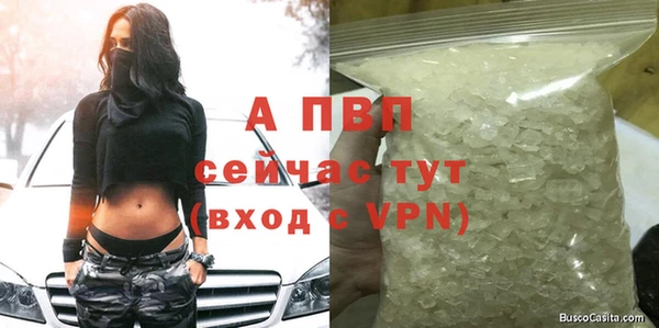 альфа пвп Медвежьегорск
